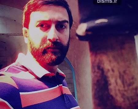 عکس و بیوگرافی حامد میرباقری