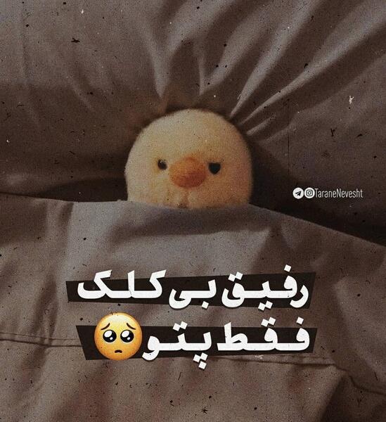 عکس پروفایل رفیق خنده دار