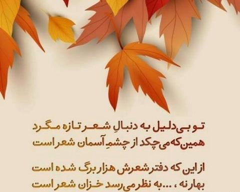 عکس نوشته پاییز عجیبی است