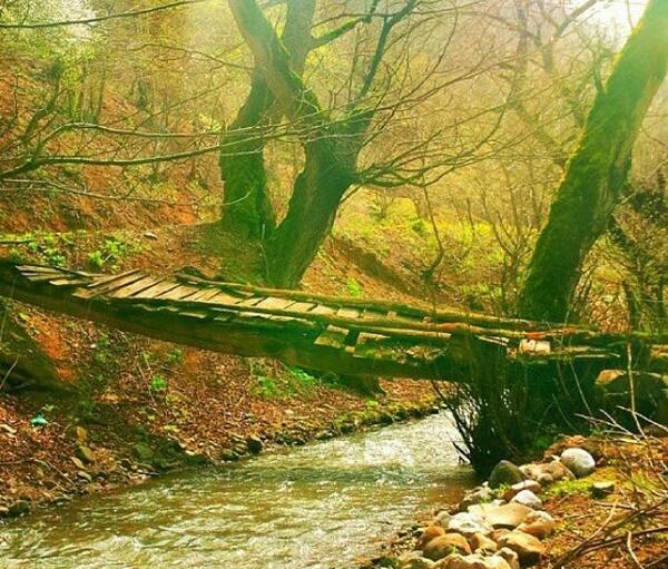 عکس پاییز تالش