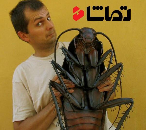 عکس سوسک ملکه