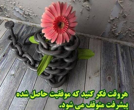 عکس پروفایل موفقیت پسرم