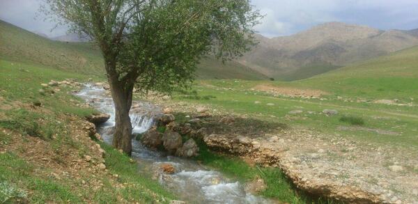 عکس روستا سرسبز