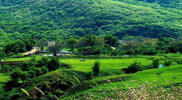 عکس روستا سرسبز