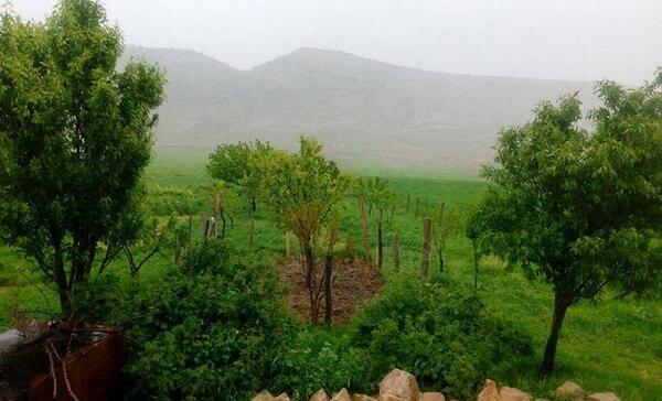 عکس روستا سرسبز
