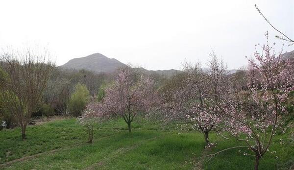 عکس روستا سرسبز