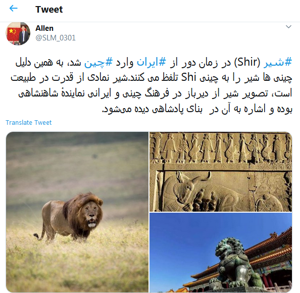 عکس شیر چینی