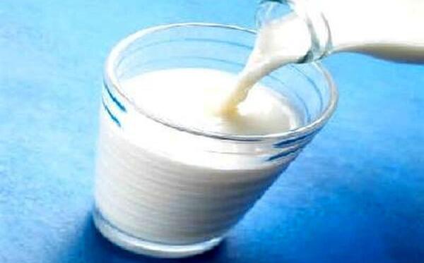 عکس شیر چینی