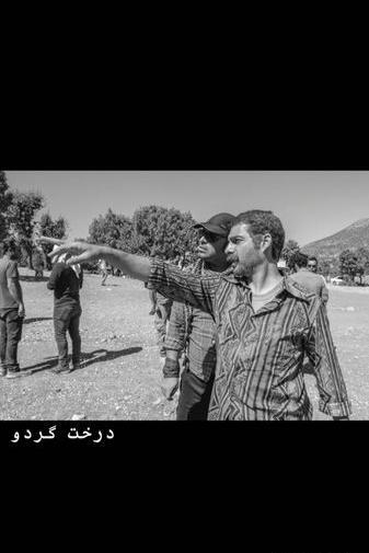 عکس پیمان معادی در درخت گردو