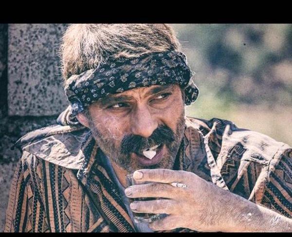 عکس پیمان معادی در درخت گردو
