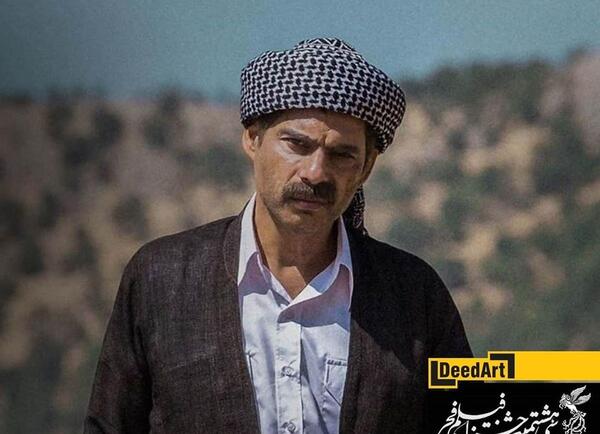 عکس پیمان معادی در درخت گردو