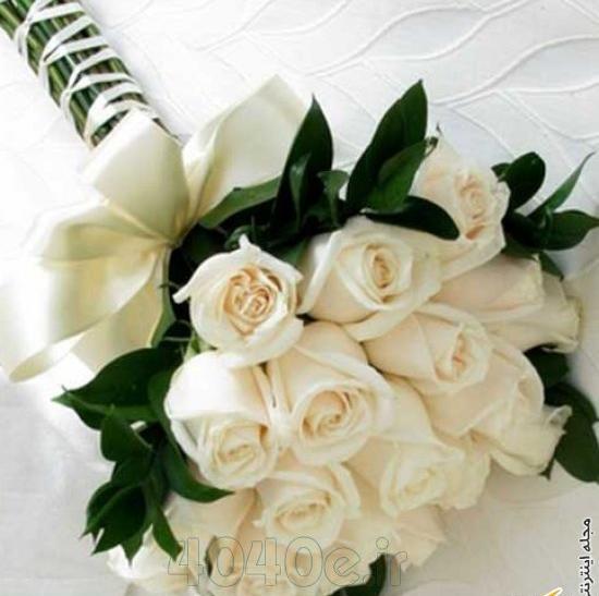 عکس دسته گل سفید