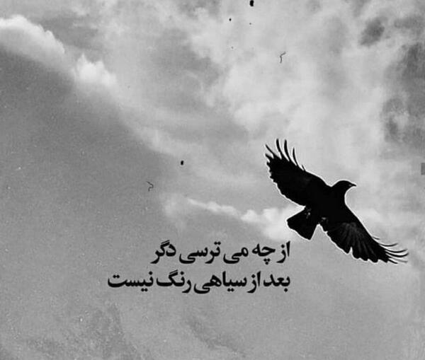 عکس پروفایل سیاه و رنگی