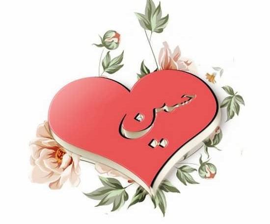 عکس قلب یا حسین