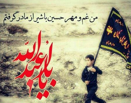 آلبوم عکس اربعین