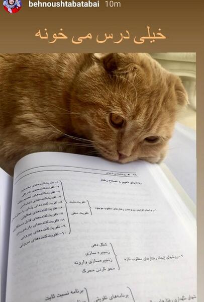 عکس گربه بهنوش طباطبایی