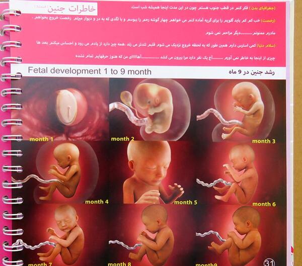 لیست سیسمونی ضروری با عکس نی نی سایت