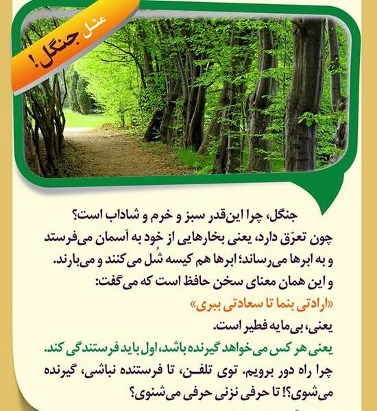 عکس طاووس نوشته