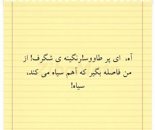 عکس طاووس نوشته