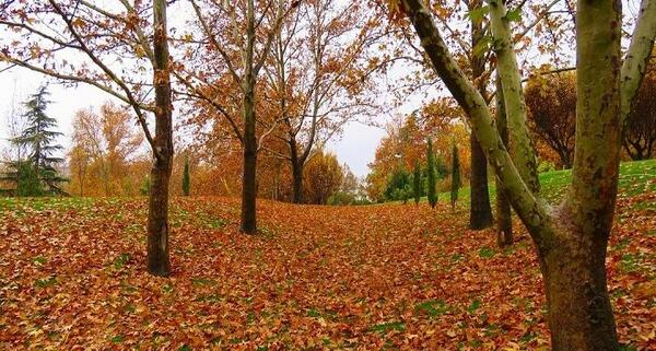 عکس دیدنی زشت