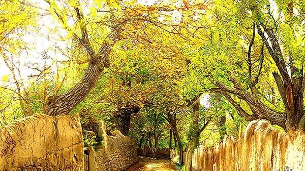 عکس پاییز کوچه باغ