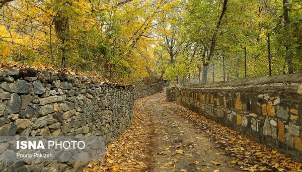 عکس پاییز کوچه باغ