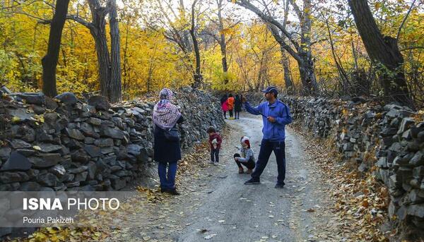 عکس پاییز کوچه باغ