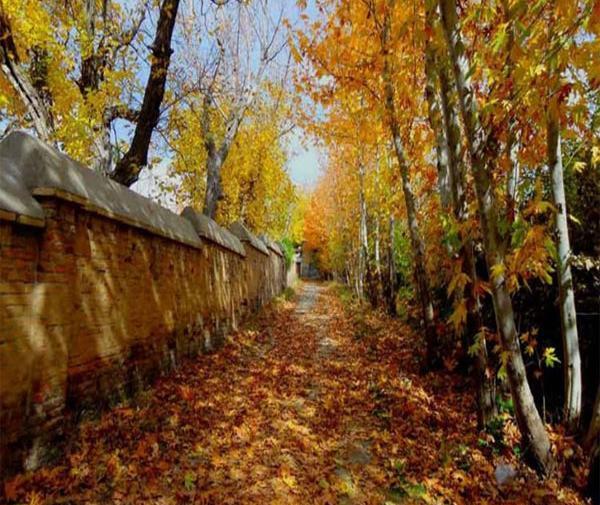 عکس پاییز کوچه باغ