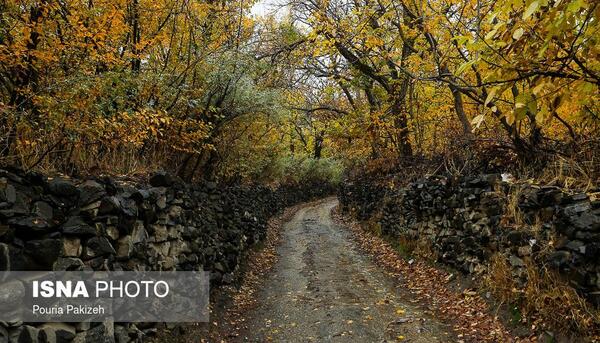عکس پاییز کوچه باغ