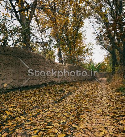 عکس پاییز کوچه باغ