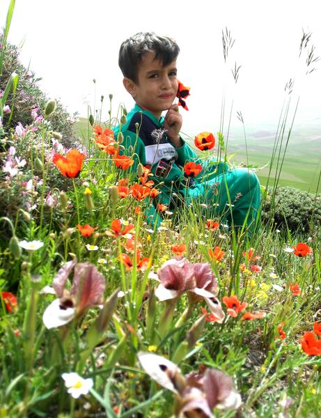 عکس آیلین ناصری