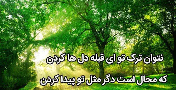 عکس های زیبای عاشقانه طبیعت