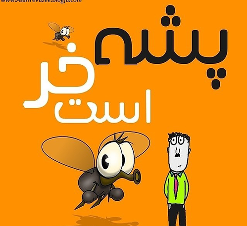 عکس پشه فانتزی