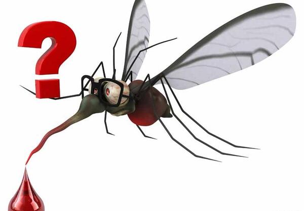 عکس پشه فانتزی