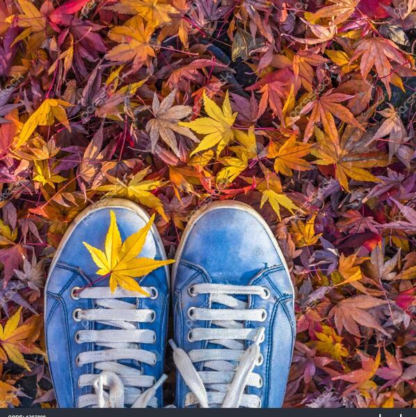 عکس پا روی برگ پاییزی