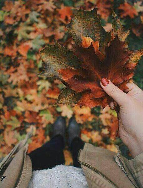 عکس پا روی برگ پاییزی