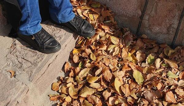 عکس پا روی برگ پاییزی