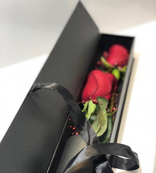 عکس گل رز دوتایی