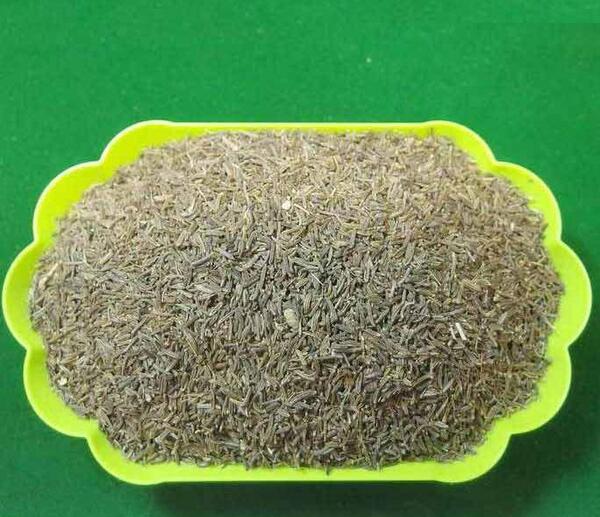 عکس شاه زیره کراویا
