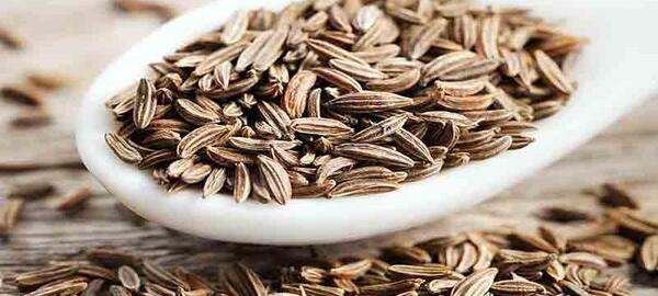 عکس شاه زیره کراویا