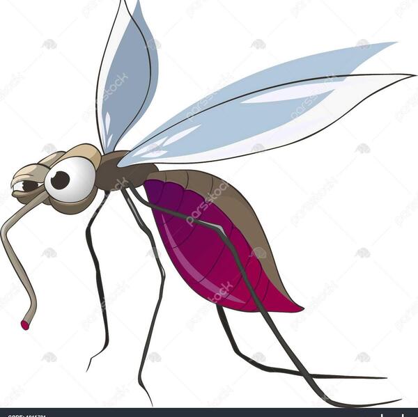 عکس پشه نقاشی
