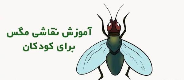 عکس پشه نقاشی