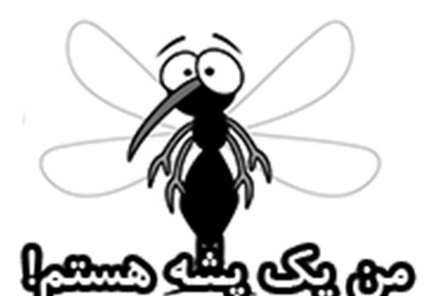 عکس پشه نقاشی
