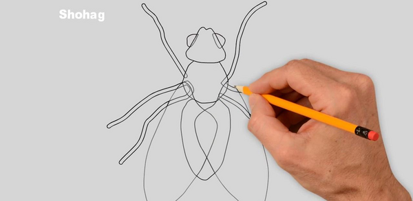 عکس پشه نقاشی