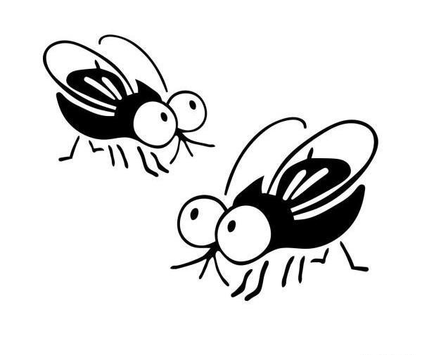 عکس پشه نقاشی