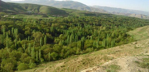 عکس روستای زوارم شیروان