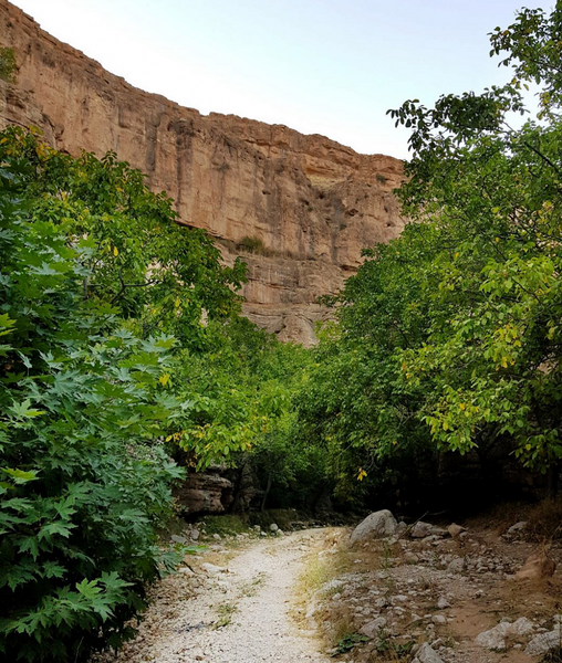 عکس روستای زوارم شیروان