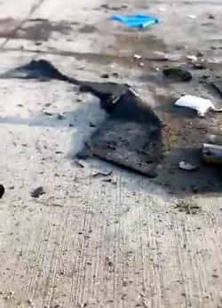 عکس تصاویر حاج قاسم سلیمانی لحظه شهادت
