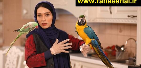 عکس شهرزاد کمال زاده در شام ایرانی