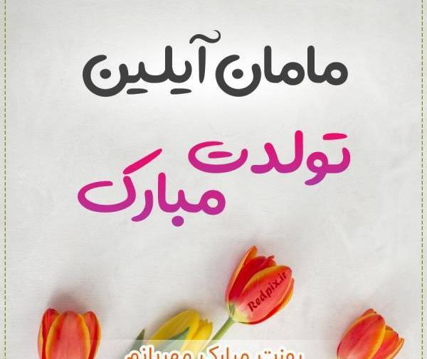 عکس گل آیلین